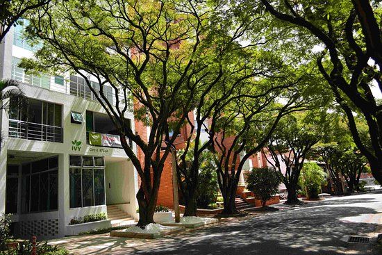 Ivy Laureles Apartments