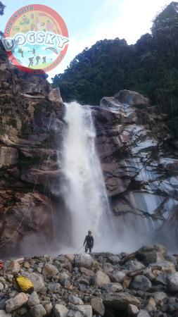 Dogsky Adventure