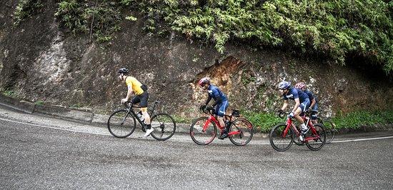 Gregario Cycling Tours