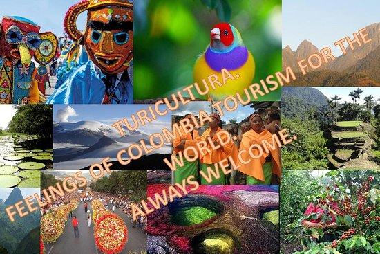 Turicultura