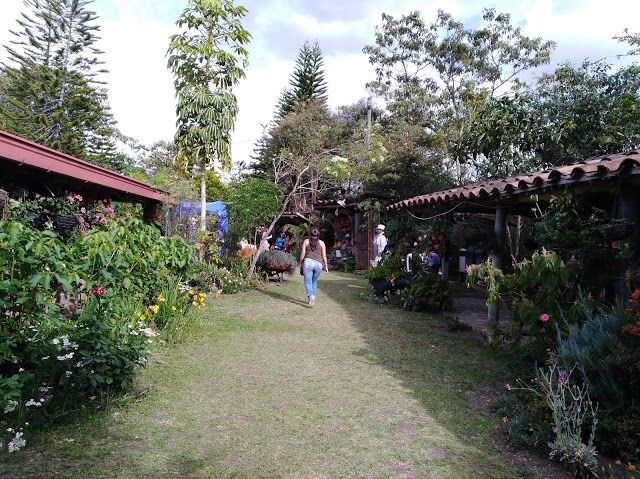 Finca Silletera Abuela Sarito